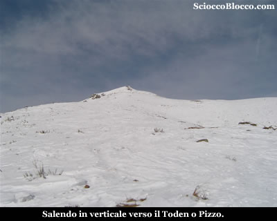 Toden